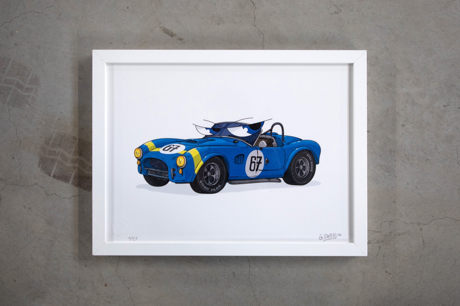 Gaspard Louane - Jo Siffert & Herbert Müller Tribute, Shelby Cobra
